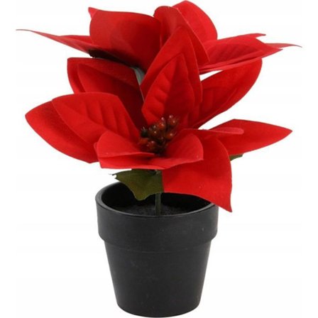 Fleur-plante artificiell - torkad blomma Heminredningskollektion Stjärna av Betlehem i kruka, höjd 18 cm