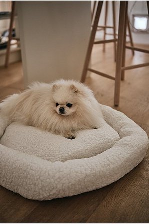 Jotex - Hundebett/katzenbett Weiß - YOSHI - Kaufe Hunde-/Katzenbett bei Jotex