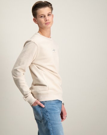 Tommy Hilfiger MONOTYPE 1985 LABEL REG SWEATSH Beige Pullover Jungen - Kids Brand Store