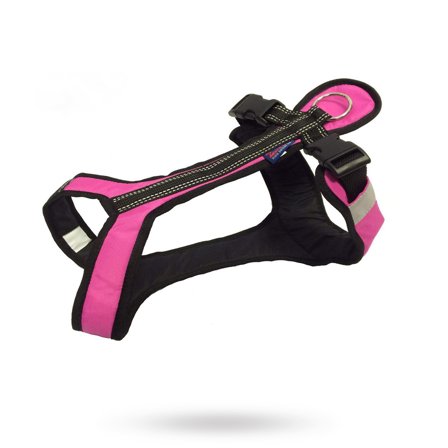 Zero DC - Zero DC Shorter Rosa & Svart - Klassiske hundeseler, step-in, jacket seler, trekkseler, vinterseler & Y-seler på Doggie.no