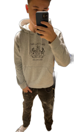 Grå hoodie från Bvaldi med tryck