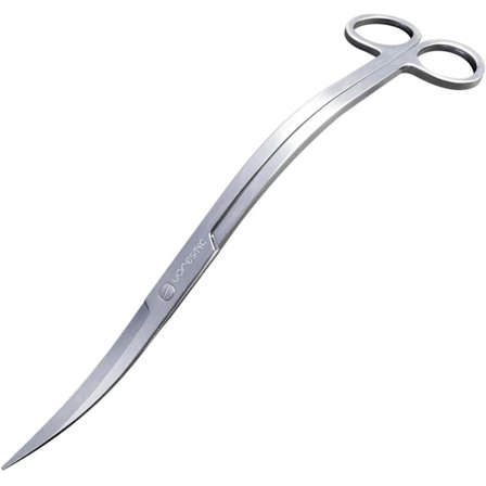 Vågsax för Akvarium Vattenväxter - Vågsax - Aquar