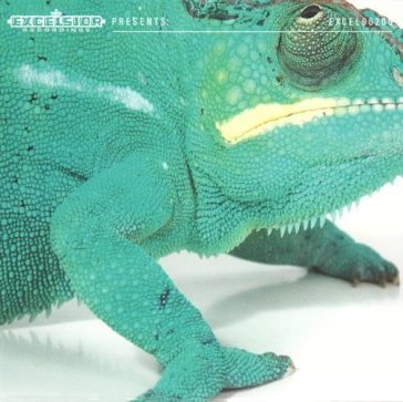 Long lost art of.. EL PINO & THE VOLUNTEERS