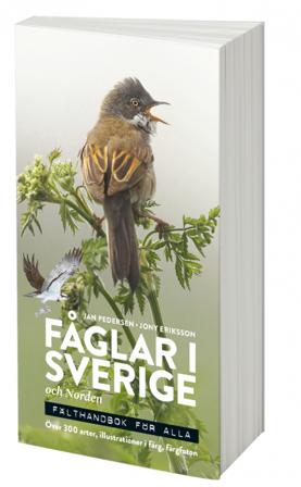 Fåglar i Sverige och Norden : fälthandbok för alla - Bok av Jan Pedersen & Jony Eriksson - Häftad