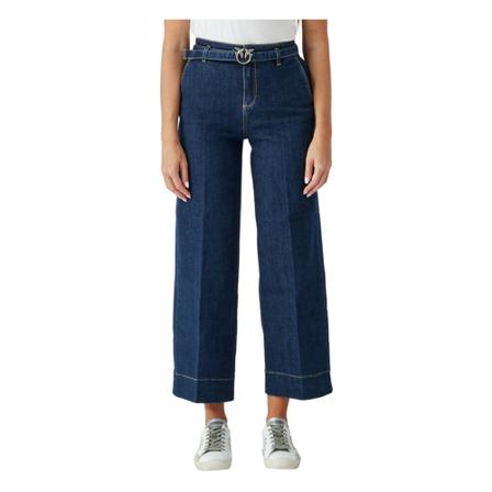Pinko, Jeans Niebieski, Kobieta, Rozmiar: W25