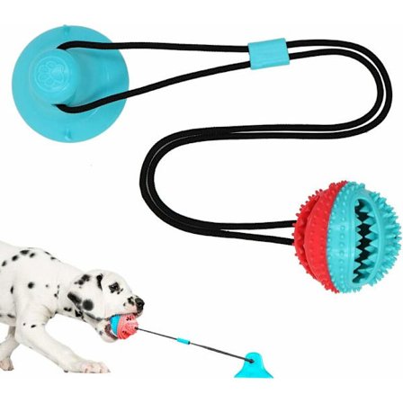 Hundesugekoppeleke, Hundetyggeleker med sugekopp, Kjæledyr molar Bi