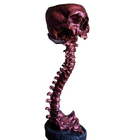 Plantepot med kranium og rygsøjle Retro menneskeskallehoved blomsterpotte Velegnet til hjem kontor udendørs