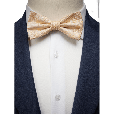 John Henric Bow Tie Paisley Kostymtillbehör Herr Beige ONESIZE