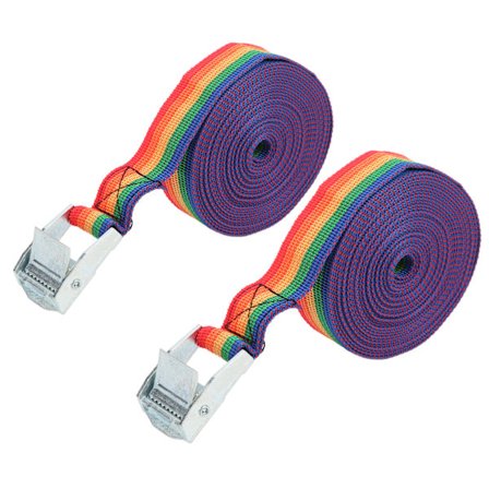 Surringsbånd Justerbart Zink Jernspænde Skralde Surringsbånd med Hurtigudløser Cam4m / 13.1ft