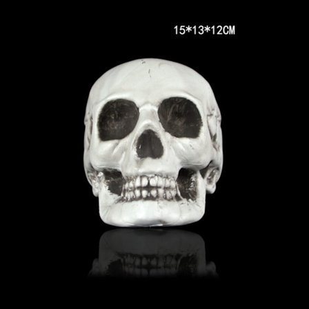 Skull Head Skull Decor 8 8