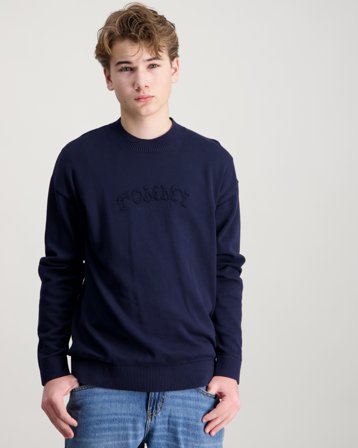 Tommy Hilfiger MONOTYPE GRAPHIC SWEATER LS Blå Genser Gutt - Kids Brand Store