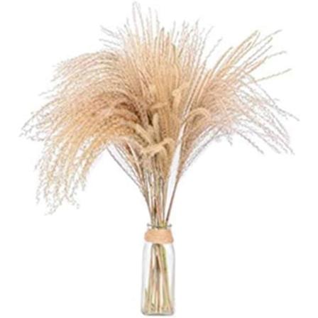 10 kappaletta Pampas-ruohokorsia Luonnolliset kuivatut kukat Kuivatut kukat Maljakoiden koristelu Kuivatut suuret ruohokimpun Hääkukka Seremonia 