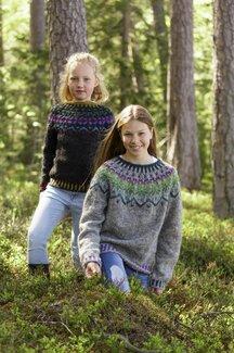 Strikkeopskrift Sweater - Järbo