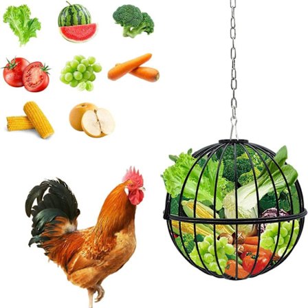 Hængende Kyllingefoder - 18 cm Stor Jern Kylling Grøntsagsgodbidsbold - Robust Kyllingegodbids Holder med 40 cm Hængekæde - Sort