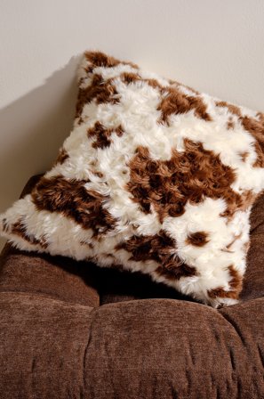 Jotex - Putetrekk 50x50 Cm multi - MOO - Kjøp Pynteputer & trekk hos Jotex