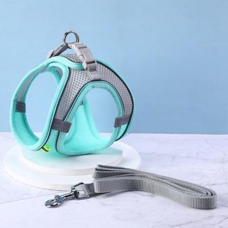 Reflekterende Vest med Bryststropp og Leash for Hunder - Utendørs Gåtur Sele Tilbehør Green XS
