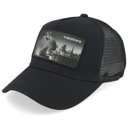 Kiddo Cap - Svart trucker Keps - Kids Capybara Black A-frame Trucker @ Hatstore
