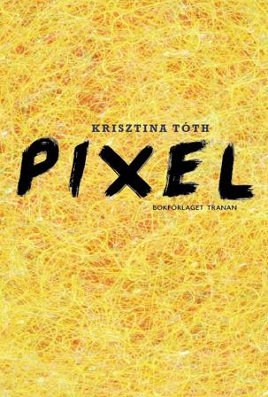 Pixel - Bok av Krisztina Tóth - Inbunden