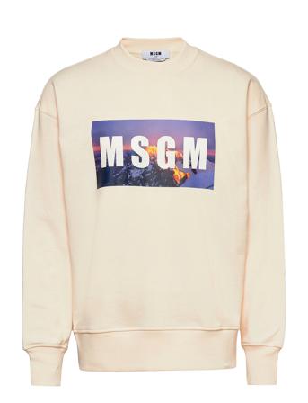 Sweatshirt Cream MSGM