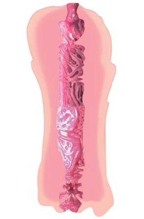 Kjøp Hidden Desire Tight Flip Fucker Pussy/Mouth - Løsvagina | God pris