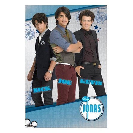 The Jonas Brothers