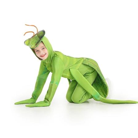 Kids Insect Bug Fancy Dress Halloween Cosplay Praying Mantis kostym för barn 10-12 Years Old