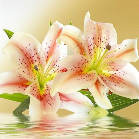 30x40 Cm 5d Fuld Diy Diamantmaleri Påskelilje ,Bor Diamant Korssting Diamantmaleri