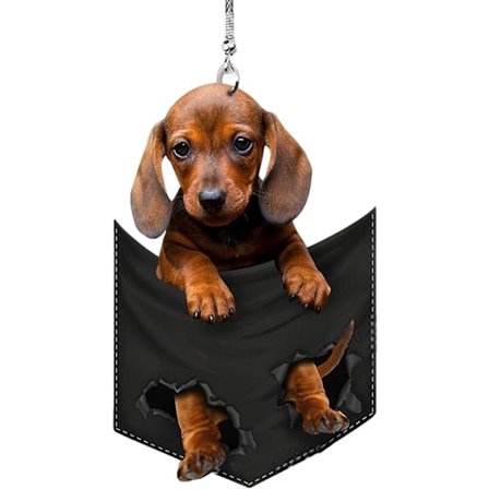 Bilhängare dekoration, 2D bilbackspegel hängare ficka penda