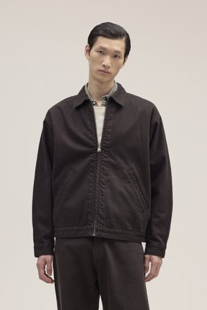 Petrus Hybrid Herr Brun