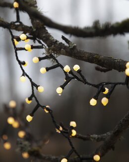 Star Trading Ljusslinga Berry Mini Gul