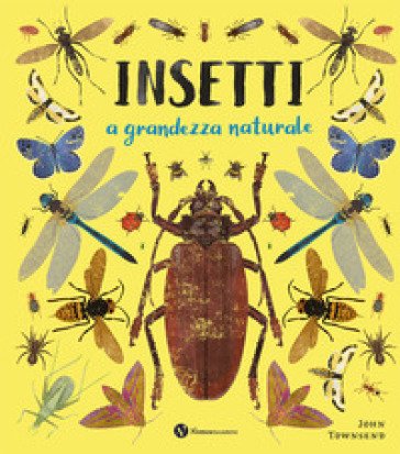 Insetti. A grandezza naturale. Ediz. a colori John Townsend