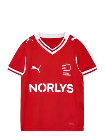 PUMA Dhf Home Jersey Jr - Red - 116