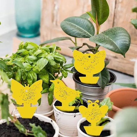 20-pack Flugfångare - Flugfälla - Söta och Effektiva