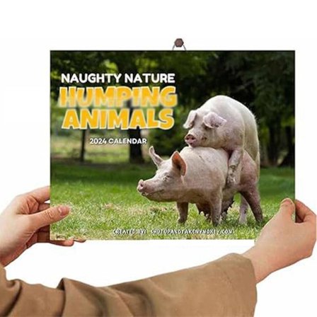 2024 Morsom Kalender, Morsomme Dyr Kalender, Kreativ Morsom Dyr Kalender 2024, Henge Årlig Planlegger Dekor Griser Kalender