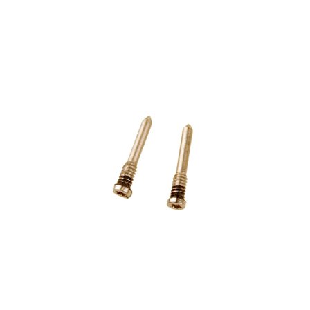 iPhone XS/XR/XS Max Bottom Screws 2 pcs Gold