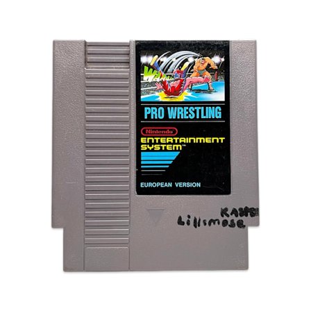 Pro Wrestling
