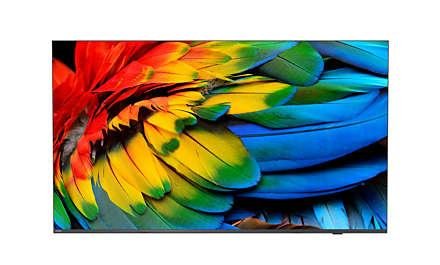 Philips 58HFL6214U Professional MediaSuite - 58" LED-bakgrunnsbelyst LCD TV - 4K - for helsepleie / hotell