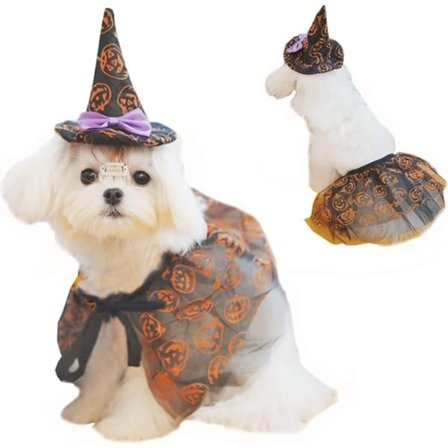 IC Liten Hund Halloween Trollmann Kostymer Katt Heksekappe og Hatt Sett med Gresskar Mønster Morsomme Kjæledyrklær for Fest XS (Gresskar, S)