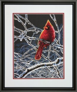 Bild Rotkardinal - Dimensions