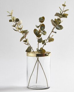 Konstväxt Eucalyptus kvist Vihreä