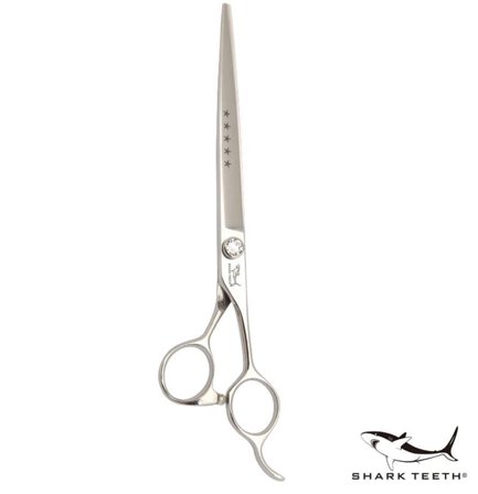 Shark Teeth 5-Stjerners Rett Saks - 19cm