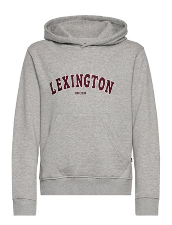 Lexington Clothing Lucas Logo Organic Cotton Hood - Grey - 170