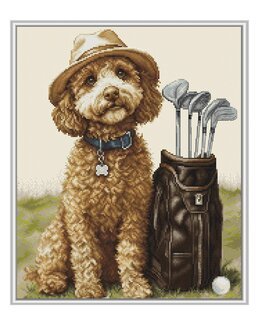 Stickpackung Bild Der Golfmeister