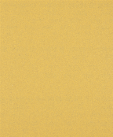 Bosch Expert C470 Slippapper 230x280 mm K120, Kapa, slipa & polera