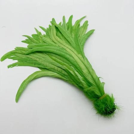 Naturliga 50 st Tuppstjärtfjädrar 25-45CM 10-18 tum Beige DIY Färgade Tuppstjärtar Klädtillbehör Smycken Prestanda Apple green 16-18inch 40-45cm