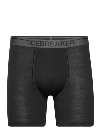 M Anatomica Long Boxers Bokserit Musta Icebreaker