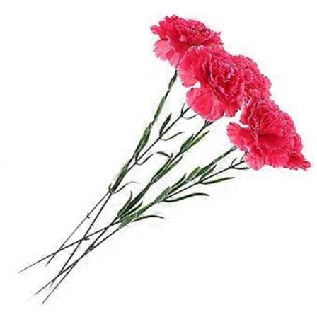 5 kpl Neilikka Koriste Keinotekoinen Kukka Neilikat Tekokukat Kotiin Juhliin Häihin Sisustus