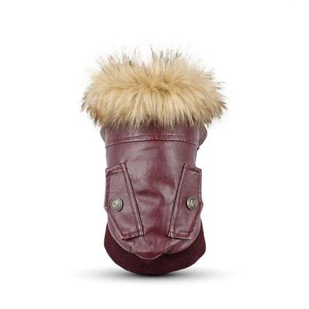 Husdjurskläder Brittisk hundläderjacka (vinröd S)