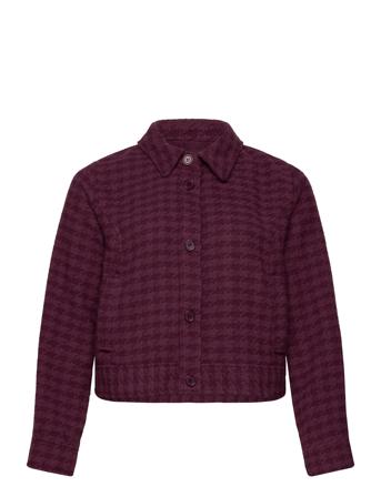 Wa-Jeddy Burgundy Wasabiconcept