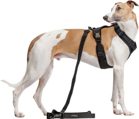 Cloud7 Y-3-Harness M-L Black